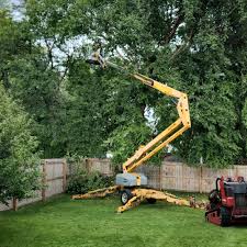 Best Palm Tree Trimming  in Cannelton, IN