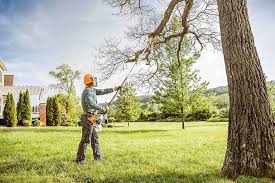 Best Tree Trimming and Pruning  in Cannelton, IN