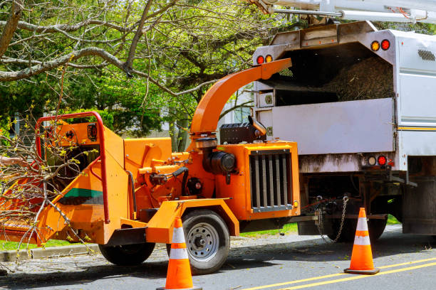 Best Tree Health Inspection  in Cannelton, IN